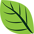 green-leaf-clipart-xl